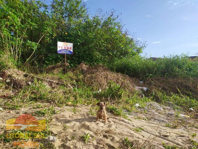 #T34 - Terreno para Venda em Guaratuba - PR