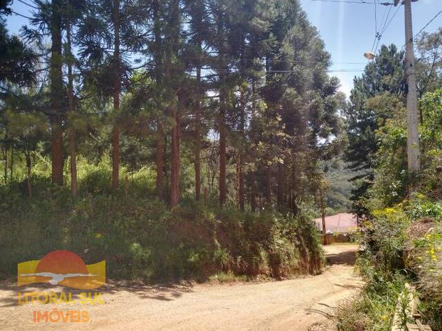 #T66 - Rural para Venda em Almirante Tamandaré - PR