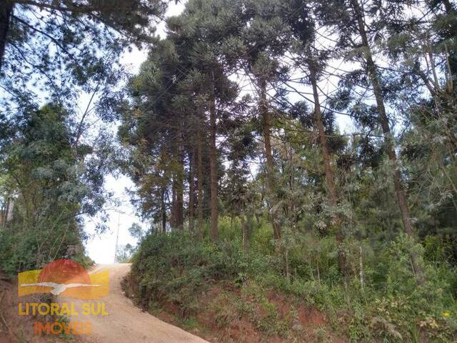 #T66 - Rural para Venda em Almirante Tamandaré - PR