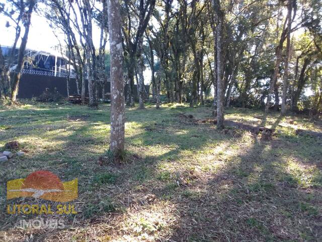 #1001P - Permuta para Venda em Campina Grande do Sul - PR
