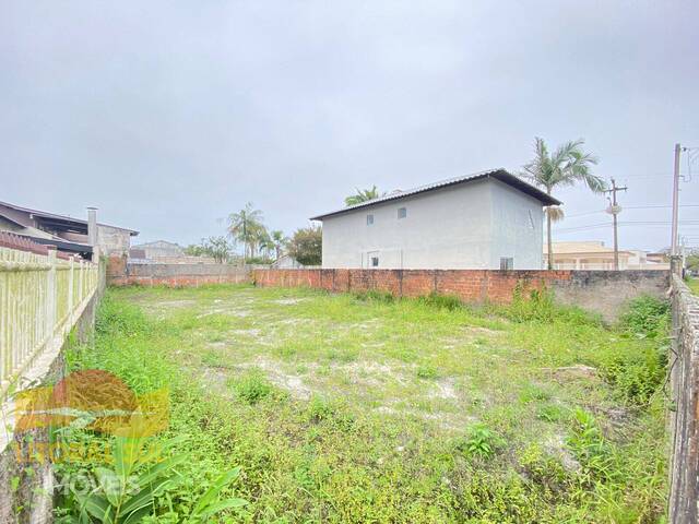 #T160 - Terreno para Venda em Guaratuba - PR