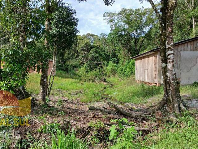 #T168 - Terreno para Venda em Guaratuba - PR