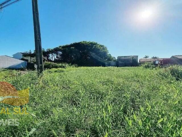 #183T - Terreno para Venda em Guaratuba - PR