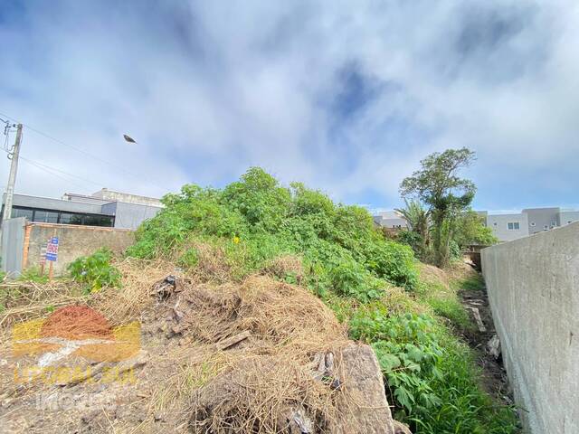 #T34 - Terreno para Venda em Guaratuba - PR