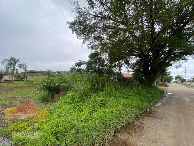 #3871 - Terreno para Venda em Guaratuba - PR