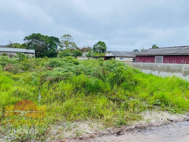 #3873 - Terreno para Venda em Guaratuba - PR