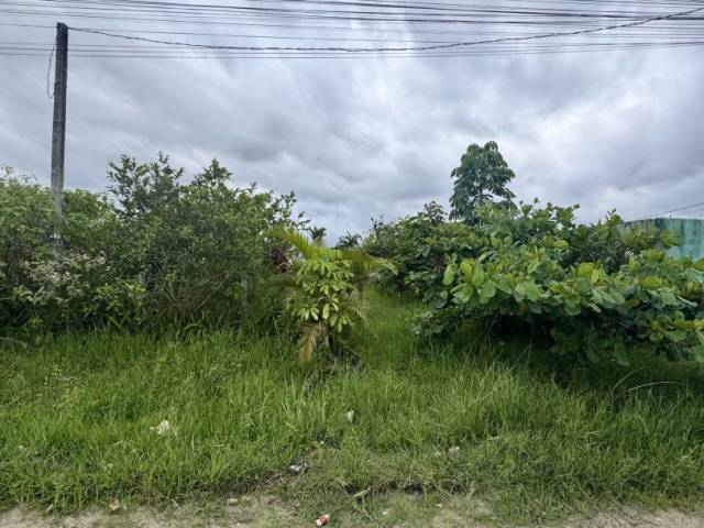 #3911 - Terreno para Venda em Guaratuba - PR