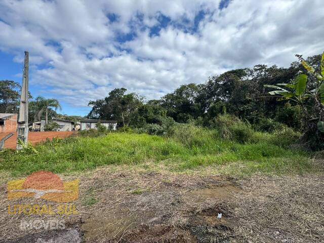 Terreno para Venda em Guaratuba - 4