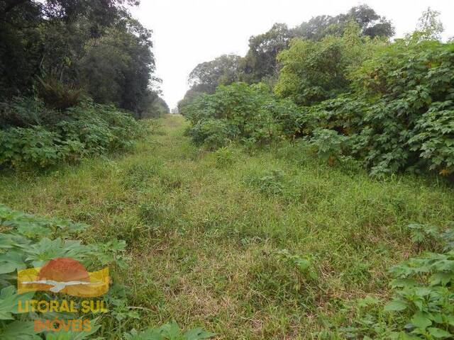 # -  para Venda em Guaratuba - PR